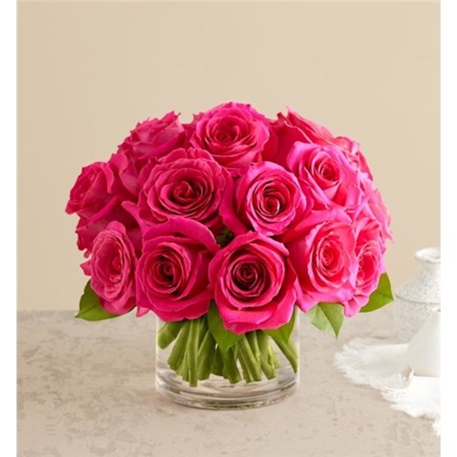 contemporary_Hot_pink_roses