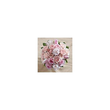 W15-4653S_120x120