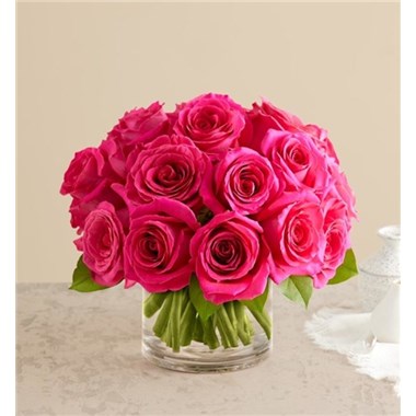 contemporary_Hot_pink_roses