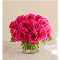contemporary_Hot_pink_roses